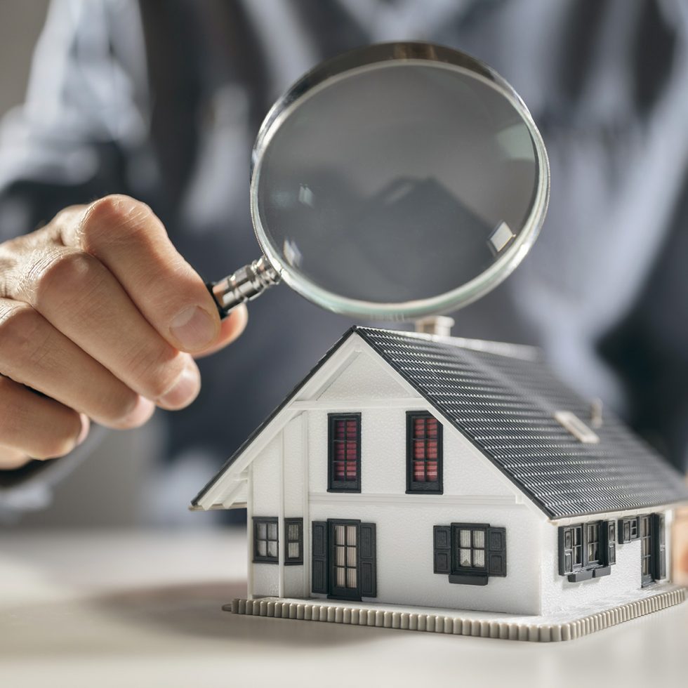 Patriarche inspection photo 3